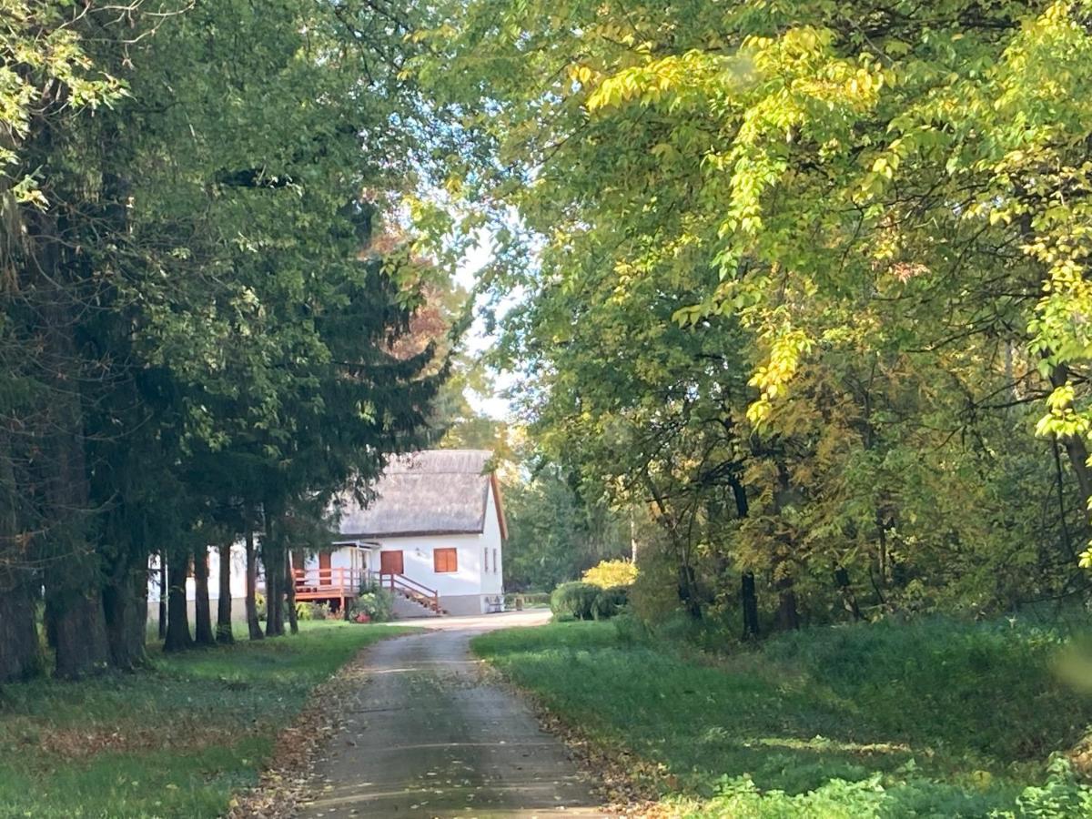 Wildente Vadaszhaz Tamási Esterno foto